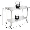 NSF Certified Stainless Steel Work Table,48*24*35inch Bilayer Table with Adjustable Undershelf - 3 of 4