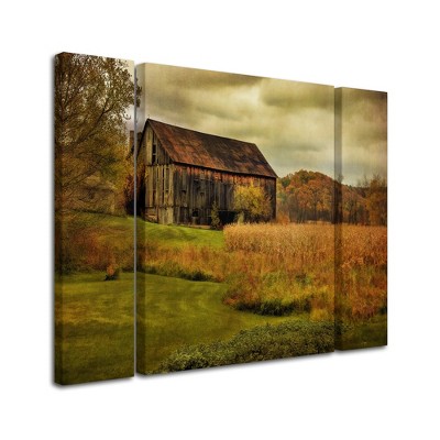Trademark Fine Art -Lois Bryan 'Old Barn on Rainy Day' Multi Panel Art Set