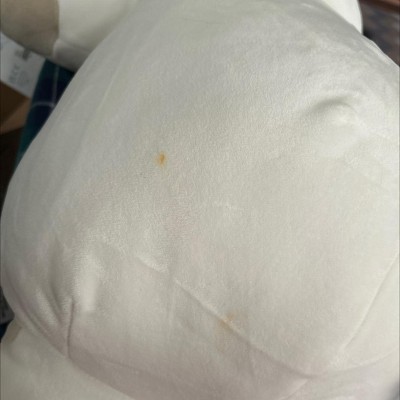Guest review image 2 of 2, zoom in