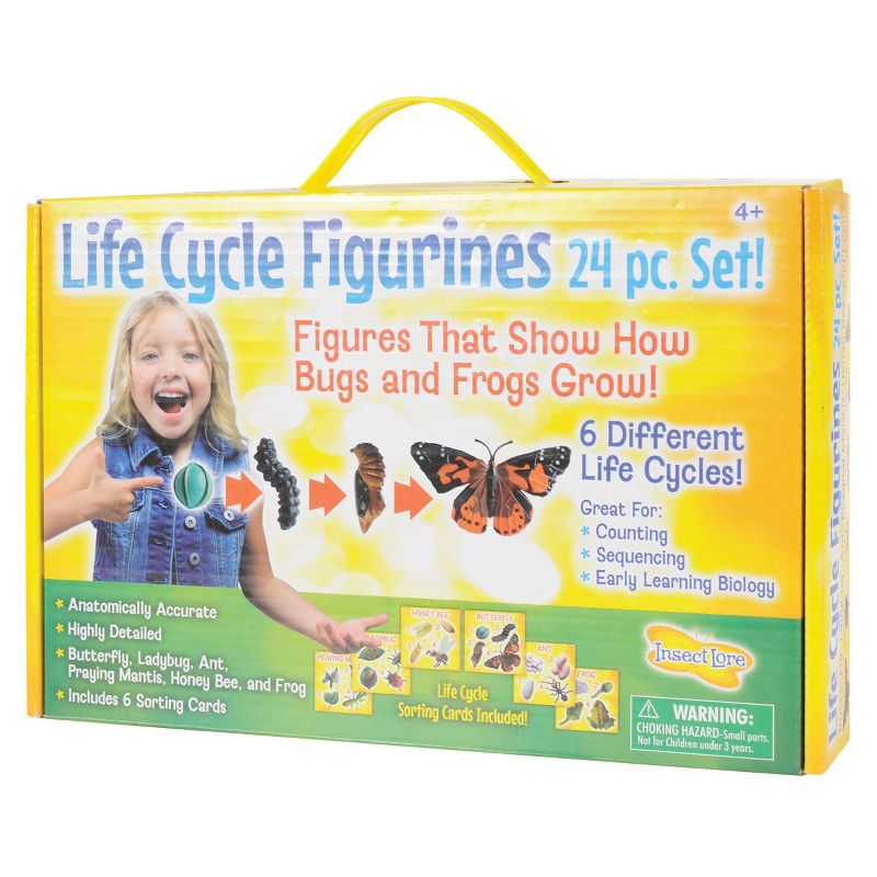 Insect Lore Products Life Cycle Figurines - 24 Pieces, 4 of 7