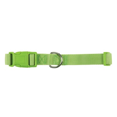 Casual Canine 1" Wide Nylon Dog Collar, Fits Necks 18" to 26", Parrot Green