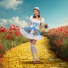 Miss Dorothy Adult Women's Costume - 3 of 4