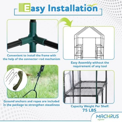 Deluxe Walk-In Greenhouse with Clear PVC Cover and Dark Green Steel Frame