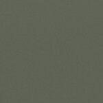 silver / green classic g-15