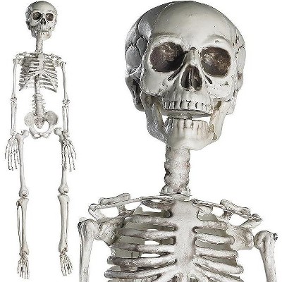 Prextex 19 Inches Posable Halloween Skeleton - Full Body
