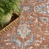 Nourison Astra Machine Washable Vintage Bordered Indoor Rug - 3 of 4