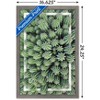 Trends International Cactus - Group Framed Wall Poster Prints - 3 of 4