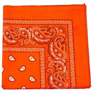 Pack of 200 Paisley Cotton Bandanas Novelty 22 in Headwraps - Wholesale - 1 of 1