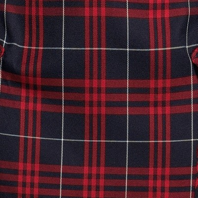 classic navy large plaid