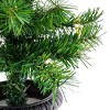 Pre-Lit Warm Welcome Assortment White Lights - National Tree Company - 3 of 4