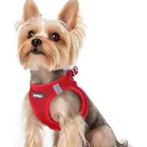 rabbitgoo Small Dog Harness, Step-in Soft Mesh Puppy Vest with Safety Buckle, Breathable Reflective Pet Harness for Small Sized Dogs, Red XS - 1 of 1