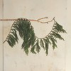 Storied Home Faux Cypress Garland, Natural - 2 of 2