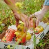 Flying Embers Grapefruit Hard Kombucha - 6pk/12 fl oz Cans - 4 of 4