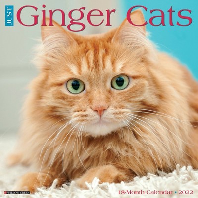 2022 Wall Calendar Just Ginger Cats - Willow Creek Press