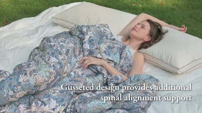 Organic Cotton Down Feather Gusseted Bed Pillows Set of 2