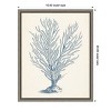 Amanti Art Antique Coral Collection II by Vision Studio Canvas Wall Art Print Framed 16 x 20-in. - 4 of 4