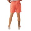 Men's The New Englands 5.5" Short - Chubbies - image 2 of 3