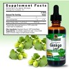 Nature's Answer Ginkgo Leaf Liquid Extract 2000mg, 1 Oz - 3 of 4