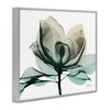 Stupell Industries Green X-Ray Flower, 11" x 14" - 3 of 4