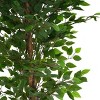 SEVOBAL Artificial Plants 63" Ficus Tree Pre-Potted Faux Greenery with Glossy Leaves for Home Decor, Green, 41"*41"*63" - 4 of 4