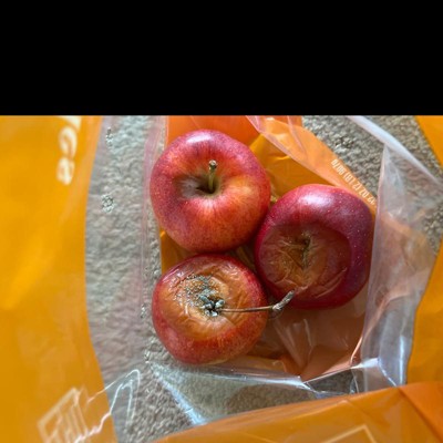 Gala Apples 🍎 (Malus Domestica) - Savoring The Good®