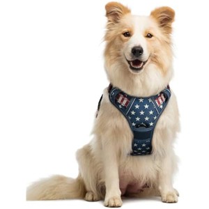 rabbitgoo Dog Harness No Pull with 2 Leash Clips, Control Handle for Large Dogs, Blue Star, M - 1 of 1