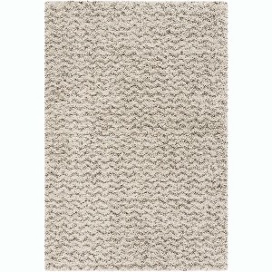 Hudson Shag SGH330 Power Loomed Area Rug  - Safavieh - 1 of 4