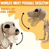 Joyfy 24” Halloween Posable Animal Wiener Dog Skeleton Decor Dog Plastic Bones with Movable Joints for Graveyard Haunted House Party Prop - 3 of 4
