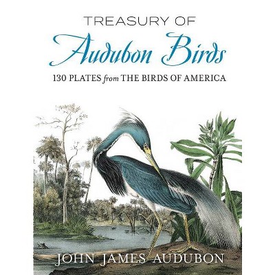 Treasury of Audubon Birds - by  John James Audubon (Paperback)