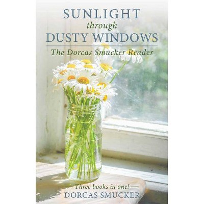 Sunlight Through Dusty Windows - by  Dorcas Smucker (Paperback)