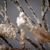 30"H Sullivans Artificial Christmas Icy Neutral Leaf Berry Spray, White-Brown, Indoor Christmas Decor - 2 of 4