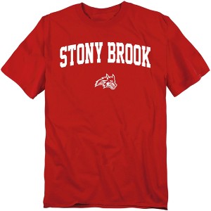Men's Stony Brook University One Color Arched T-Shirt - 1 of 4