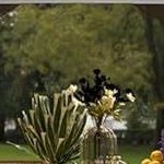 dark gray + light gray