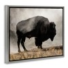 Stupell Industries Powerful Bison Grazing Foggy Rural Pasture Photography Floating Frame Canvas Art, Gray, 21" x 17" - 2 of 4