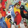Hart Puzzles Birds, Birds, Birds by Wendy Russell, 24 x 30 1000 Piece Puzzle - 4 of 4