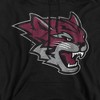 California State University Chico Official Distressed Primary Adult Pull-Over Hoodie - 2 of 4
