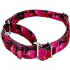 Country Brook Petz Martingale Dog Collar - Affection Collection - 2 of 4