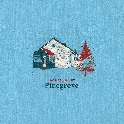 Pinegrove - Amperland  Ny (Vinyl)