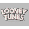 Girl's Looney Tunes Vintage Logo T-Shirt - 2 of 4