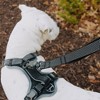 HOOZA Reflective Leash - 1" x 6' Dog Outdoor Accessory, Pet Safety - Magnetic Clip, Padded Handle - 3 of 4