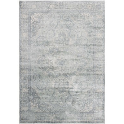 Vintage VTG179 Power Loomed Area Rug - Silver - 8'x10' - Safavieh.