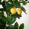 Sullivans Artificial 41" Lemon Tree, Green - 2 of 4