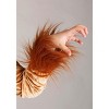 HalloweenCostumes.com Women's Plus Size Fierce Lion Costume | Safari Predator Animal Jumpsuit with Tail and Headband - 3 of 3