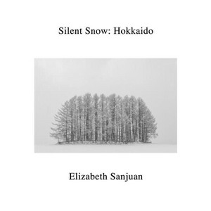 Silent Snow - by  Elizabeth Sanjuan (Hardcover) - 1 of 1