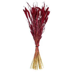 Vickerman 26" Dried Setarea Bunch, 6 oz. - 1 of 3