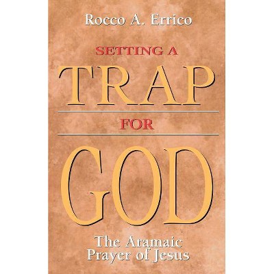 Setting a Trap for God - by  Rocco a Errico (Paperback)