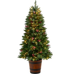 Nearly Natural 5-ft Frosted Colorado Aspen Pre-Lit Artificial Porch Christmas Tree with 200 LED lights - 1 of 4