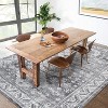 Coucheta Washable Area Rug - Vintage Distressed Rug, Low Pile Non-Slip Carpet for Living Room & Dining Room, Fade & Stain Resistant - 2 of 4