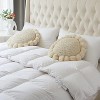 Boho Round Throw Pillow with Cute Handmade Pom Poms Tassels 18 Inch, Decorative Circular Knitted Crochet Cushion for Couch, Sofa, Chair, Bed, Beige - 4 of 4