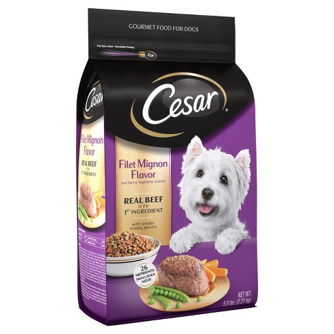 CESAR® Filet Mignon Flavor With Spring Vegetables Dry Dog ...